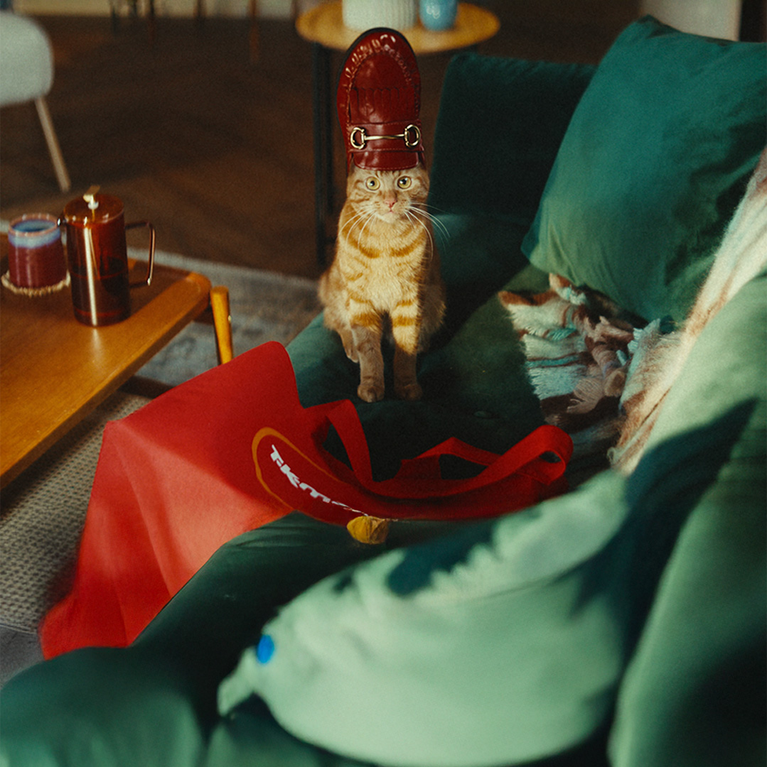 A ginger cat sitting upright on a green sofa with a shiny red loafer on its head in front of a red TK Maxx shopping bag.